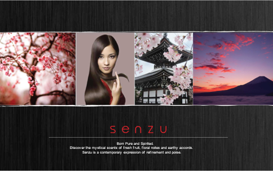 Senzu – Pure Essense Online